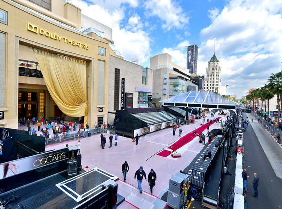Oscars Red Carpet Oscars Red Carpet
